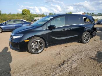  Salvage Honda Odyssey