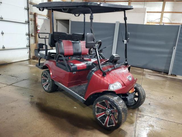  Salvage Evol Golf Cart