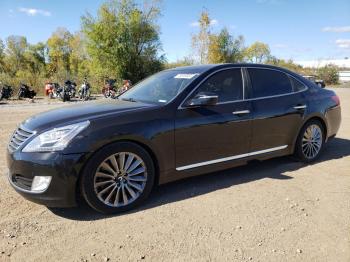  Salvage Hyundai Equus