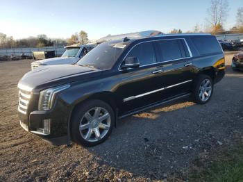  Salvage Cadillac Escalade