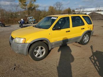  Salvage Ford Escape