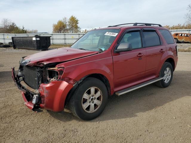  Salvage Mercury Mariner