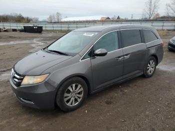  Salvage Honda Odyssey