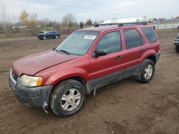  Salvage Ford Escape