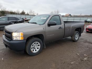  Salvage Chevrolet Silverado