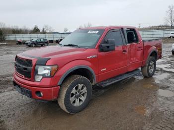  Salvage Ford F-150