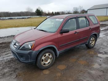  Salvage Honda Crv