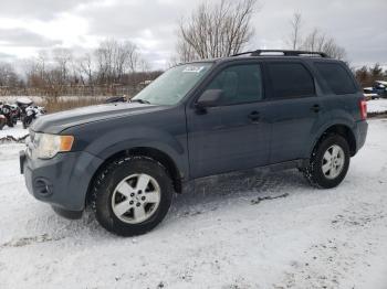  Salvage Ford Escape