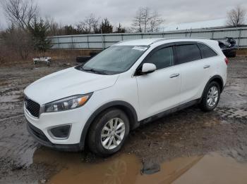  Salvage Kia Sorento