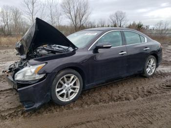  Salvage Nissan Maxima