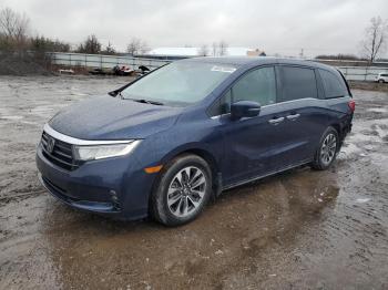  Salvage Honda Odyssey