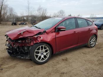  Salvage Ford Focus