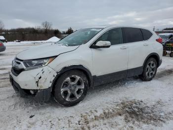  Salvage Honda Crv