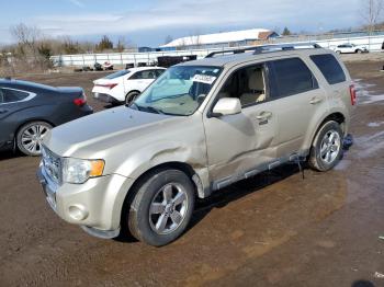  Salvage Ford Escape