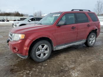  Salvage Ford Escape