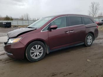  Salvage Honda Odyssey