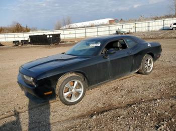  Salvage Dodge Challenger