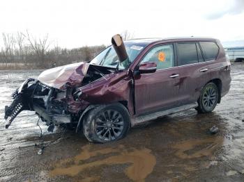  Salvage Lexus Gx