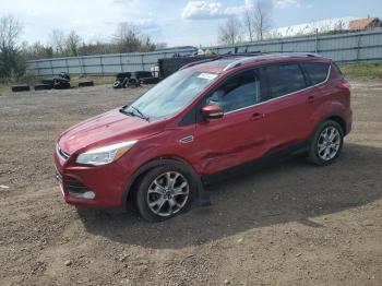  Salvage Ford Escape