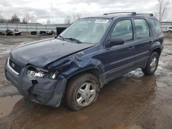  Salvage Ford Escape