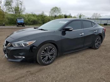  Salvage Nissan Maxima
