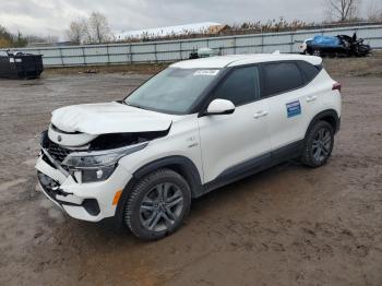  Salvage Kia Seltos