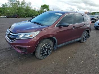  Salvage Honda Crv