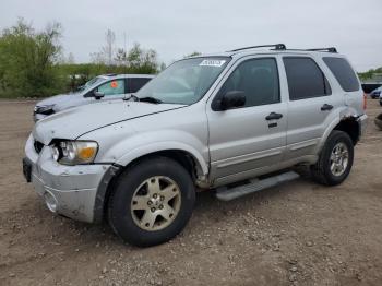  Salvage Ford Escape