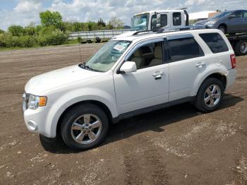  Salvage Ford Escape