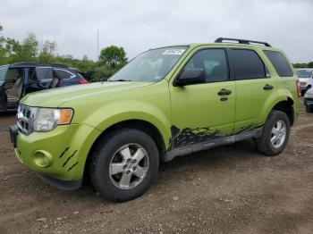  Salvage Ford Escape