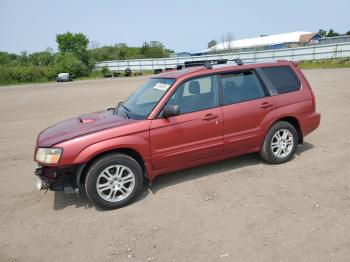  Salvage Subaru Forester