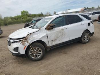  Salvage Chevrolet Equinox