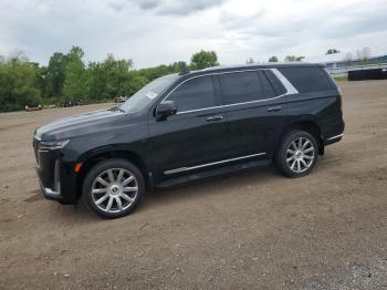  Salvage Cadillac Escalade