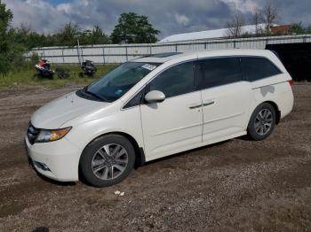 Salvage Honda Odyssey