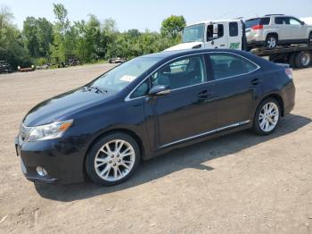  Salvage Lexus Hs