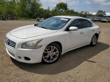  Salvage Nissan Maxima