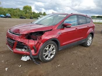  Salvage Ford Escape