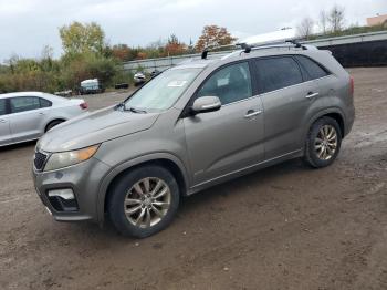  Salvage Kia Sorento