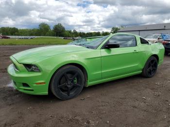  Salvage Ford Mustang