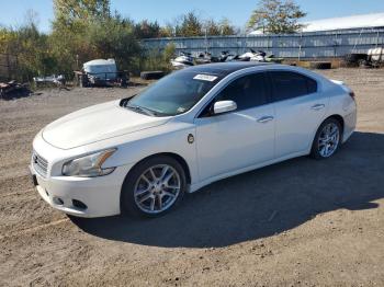  Salvage Nissan Maxima