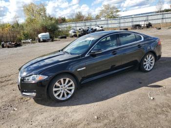  Salvage Jaguar XF