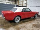 Ford Mustang Image 4