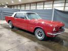 Ford Mustang Image 3