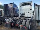 International Prostar Image 9