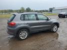 Volk Tiguan Lim Image 3