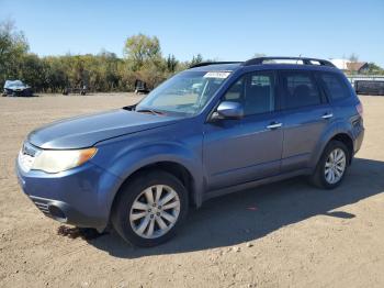  Salvage Suba Forester