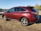 Lexus RX 350 Image 2