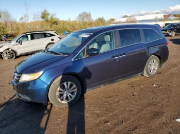  Salvage Honda Odyssey