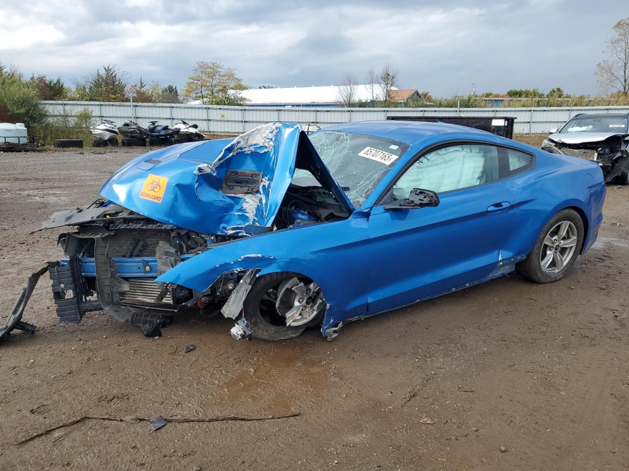 Ford Mustang Image 1