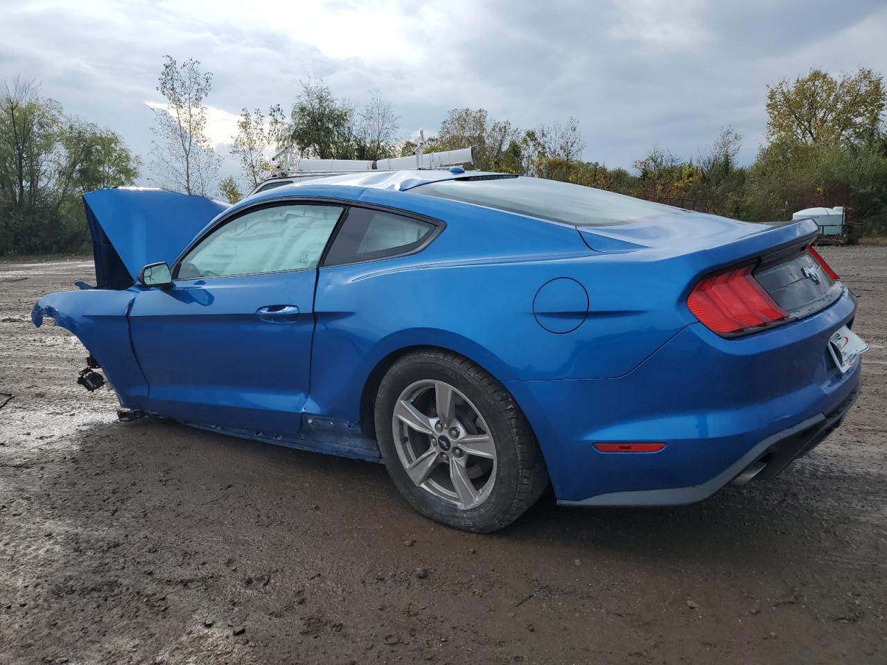 Ford Mustang Image 12